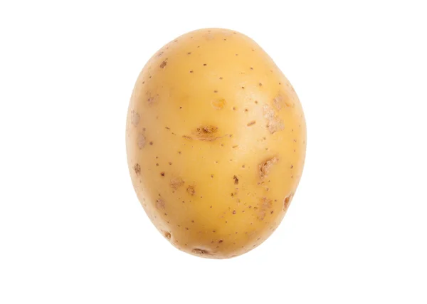 Single fresh potato. Isolated on white background. Close-up stud — Stock Photo, Image