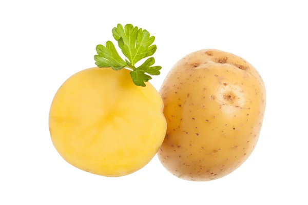 Zwei gelbe Kartoffeln und grüne Petersilie. isoliert auf weißem Hintergrund — Stockfoto