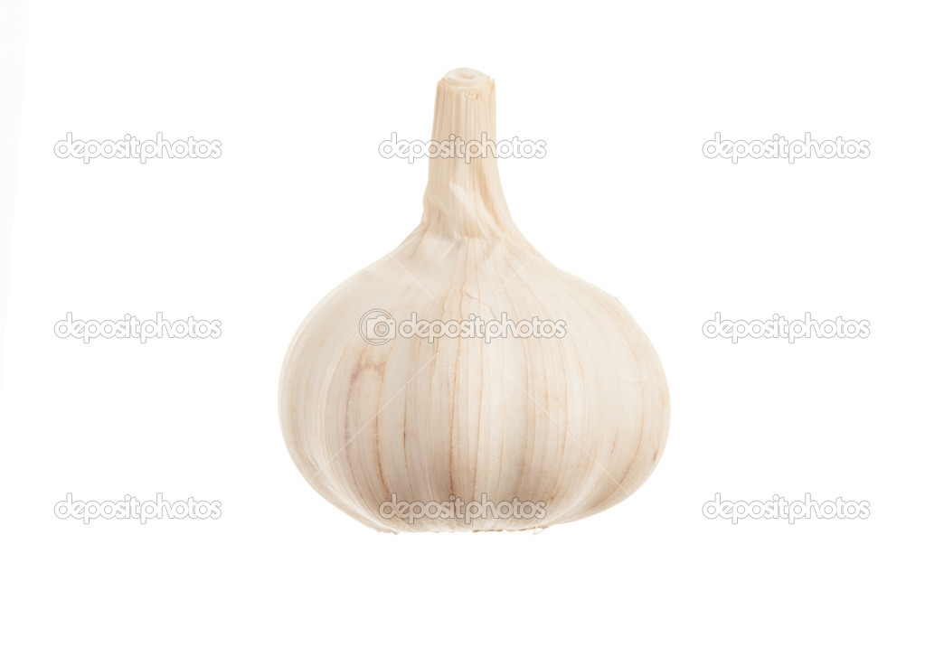 Single fresh garlic. Isolated on white background. Close-up stud