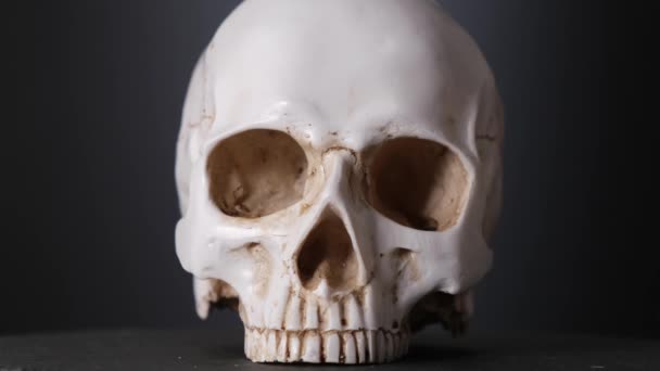 Emberi koponya: a fény közelről söpör végig a szemgödrök között. — Stock videók