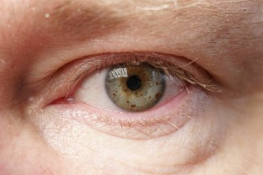 Beyaz bir erkeğin sol gözü, yakın plan, yumuşak odaklı. Yeşil-gri gözbebeği olan insan gözü.