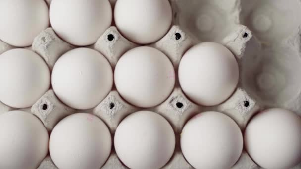 手は段ボールトレイに鶏の卵をレイアウト トップビュー — ストック動画