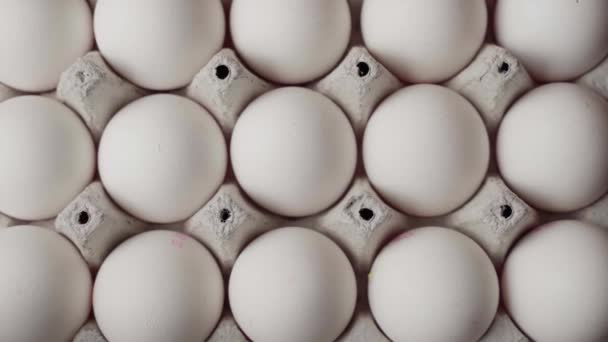 Dolly shot of whites eggs in cardboard box, top view — Stockvideo