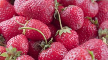 Yeşil yapraklı olgun kırmızı çilekler, 4K