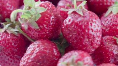 Yeşil yapraklı olgun kırmızı çilekler, yumuşak odak.