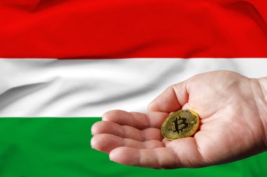 İnsanoğlunun elinde altın para, arka planda Macaristan bayrağı.