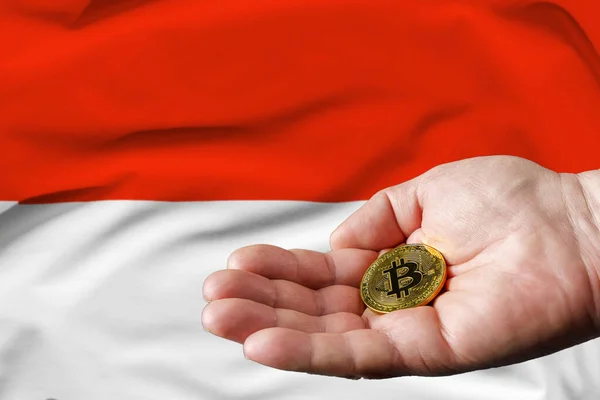 Bitcoin Oro Mano Del Hombre Bandera Indonesia Fondo —  Fotos de Stock