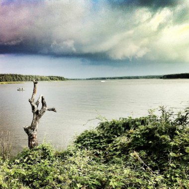 Apaçık ortada olan bir şey.