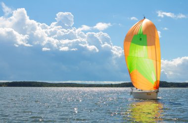Regatta em ka 2013 sınıfta. Belarus