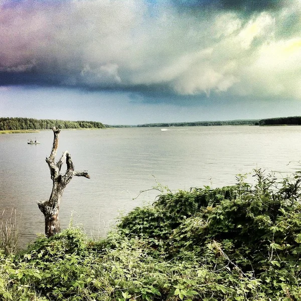 Apaçık ortada olan bir şey.