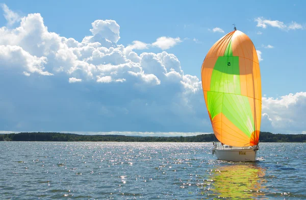 Regatta em ka 2013 sınıfta. Belarus