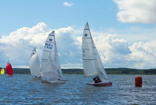 Regatta Em Sc 2013 kategóriájában. Fehéroroszország — Stock Fotó