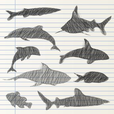 hayvan koleksiyonu el çekilmiş