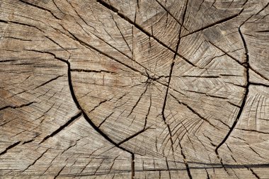 ahşap tahta kırık