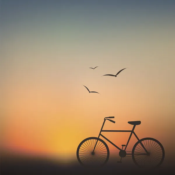 Bicicleta ao pôr do sol fundo —  Vetores de Stock