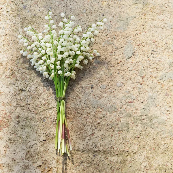 Lilly av dalen blommor — Stockfoto