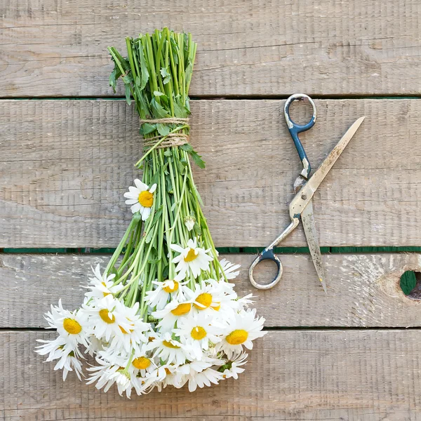 Bouquet of daisies  and scissors on wooden background — Stock Photo, Image