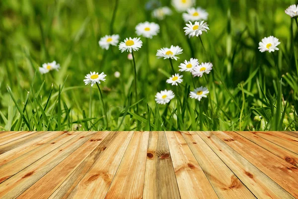 Frische Frühlingsblumenwiesen. frische Frühlingsblumen, Gras und Sonne — Stockfoto