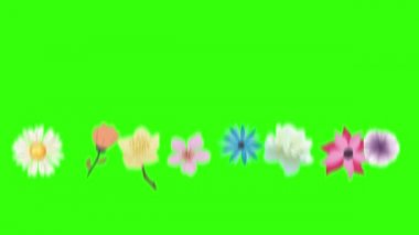Yeşil ekran krom anahtarı üzerinde bahar çiçekleri animasyon elemanları grubu
