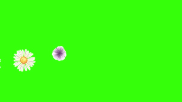 Groupe Éléments Animation Fleurs Printemps Sur Écran Vert Chroma Key — Video