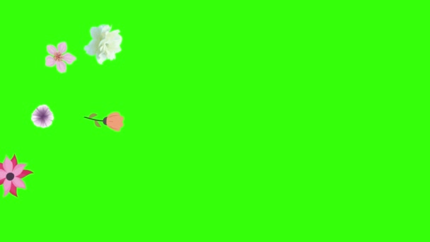 Grupp Våren Blommor Animation Element Grön Skärm Kroma Nyckel — Stockvideo