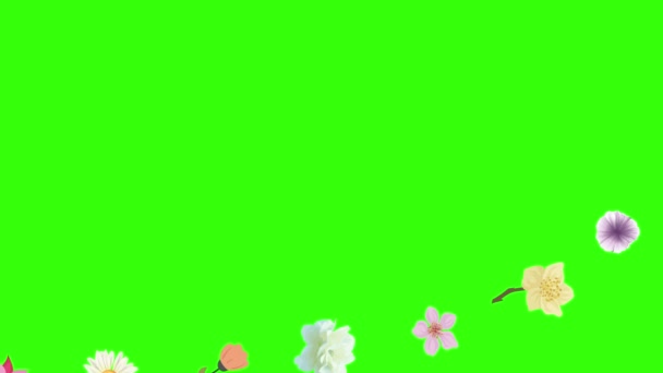 Groupe Éléments Animation Fleurs Printemps Sur Écran Vert Chroma Key — Video