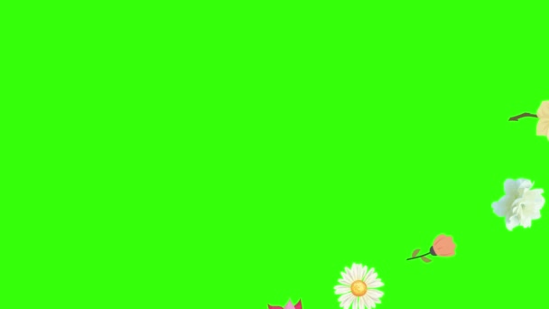 Grupo Elementos Animación Flores Primavera Tecla Croma Pantalla Verde — Vídeo de stock