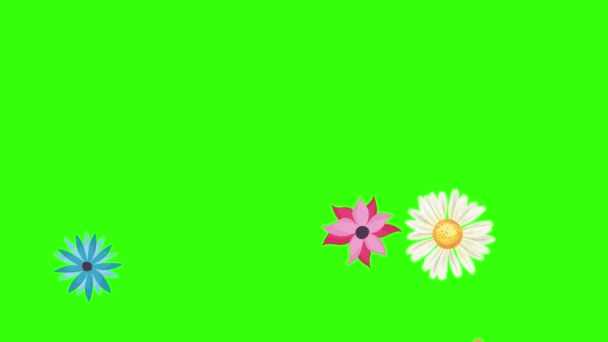 Група Анімаційних Елементів Весняних Квітів Зеленому Екрані — стокове відео