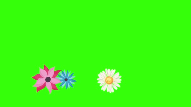 Group Spring Flowers Animation Elements Green Screen Chroma Key — Stock Video