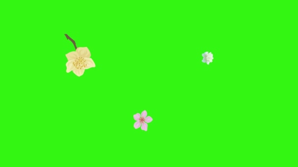 Grupo Elementos Animação Flores Primavera Chave Croma Tela Verde — Vídeo de Stock