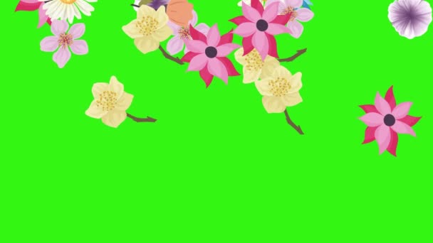 Groep Van Lente Bloemen Animatie Elementen Groen Scherm Chroma Sleutel — Stockvideo