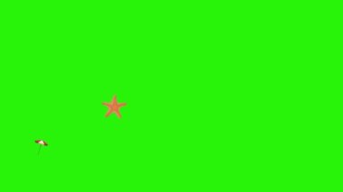 Seyahat plajı nesneleri animasyon grafik kaynak elementleri kroma anahtarı, çizgi film