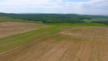 Hasat tarlaları ve ormanın havadan görünüşü, bahar zamanı, Romanya 'nın güzel manzarası