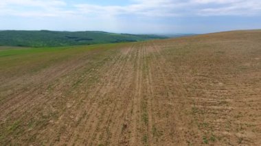 Hasat tarlaları ve ormanın havadan görünüşü, bahar zamanı, Romanya 'nın güzel manzarası