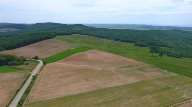 Hasat tarlaları ve ormanın havadan görünüşü, bahar zamanı, Romanya 'nın güzel manzarası