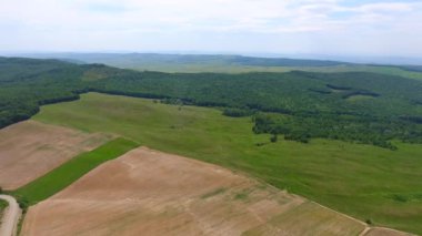 Hasat tarlaları ve ormanın havadan görünüşü, bahar zamanı, Romanya 'nın güzel manzarası