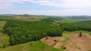 Hasat tarlaları ve ormanın havadan görünüşü, bahar zamanı, Romanya 'nın güzel manzarası