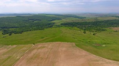 Hasat tarlaları ve ormanın havadan görünüşü, bahar zamanı, Romanya 'nın güzel manzarası