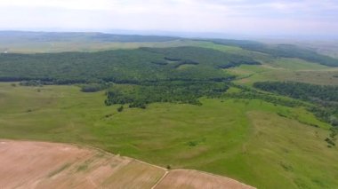 Hasat tarlaları ve ormanın havadan görünüşü, bahar zamanı, Romanya 'nın güzel manzarası