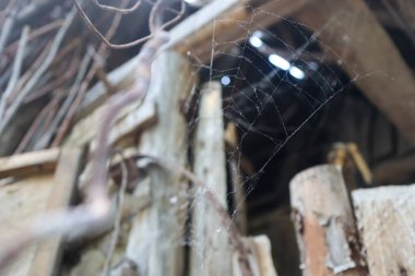 Eski bir evde örümcek ağı, Cadılar Bayramı için korkunç ve kirli.