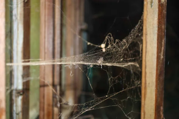 Spinnenweb Een Oud Huis Eng Vies Voor Halloween — Stockfoto
