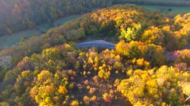 Güzel sonbahar renkli ormanların, kıvrımlı yolların havadan görünüşü