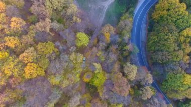 Güzel sonbahar renkli ormanların, kıvrımlı yolların havadan görünüşü