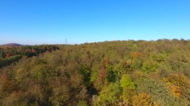Güzel sonbahar renkli ormanın havadan görünüşü