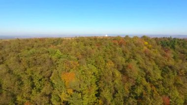Güzel sonbahar renkli ormanın havadan görünüşü