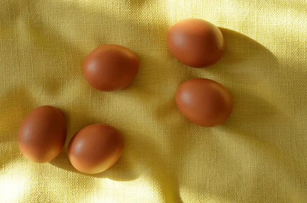 ハッピーイースター 春の休日のための美しい装飾 太陽の光の中で黄色の背景に鶏の卵 — ストック写真