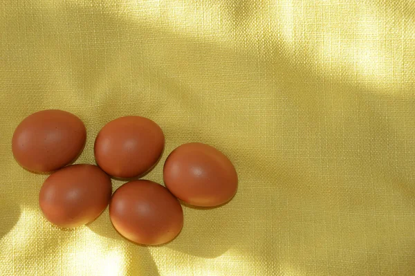 ハッピーイースター 春の休日のための美しい装飾 太陽の光の中で黄色の背景に鶏の卵 — ストック写真