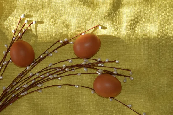 Feliz Páscoa Bela Decoração Para Férias Primavera Ovos Galinha Salgueiro — Fotografia de Stock