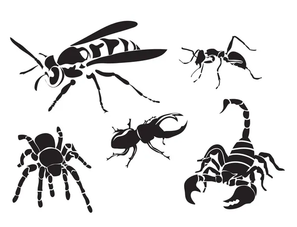 Ensemble vectoriel de silhouettes d'insectes isolées sur blanc — Image vectorielle