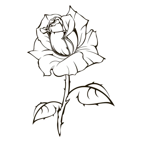 How to Draw a Rose Step by Step Tutorial  EasyDrawingTips